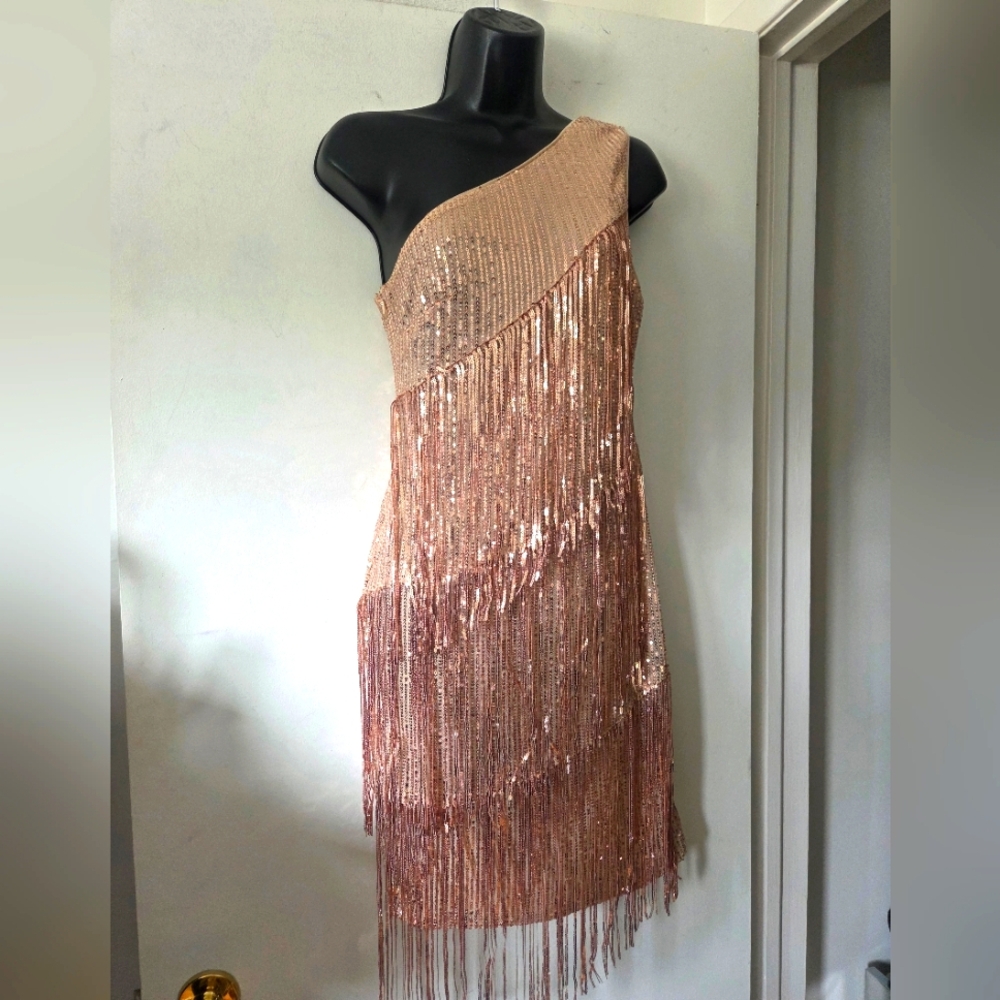 Rose Gold One Shoulder Sequin Fringe Dress NWOT